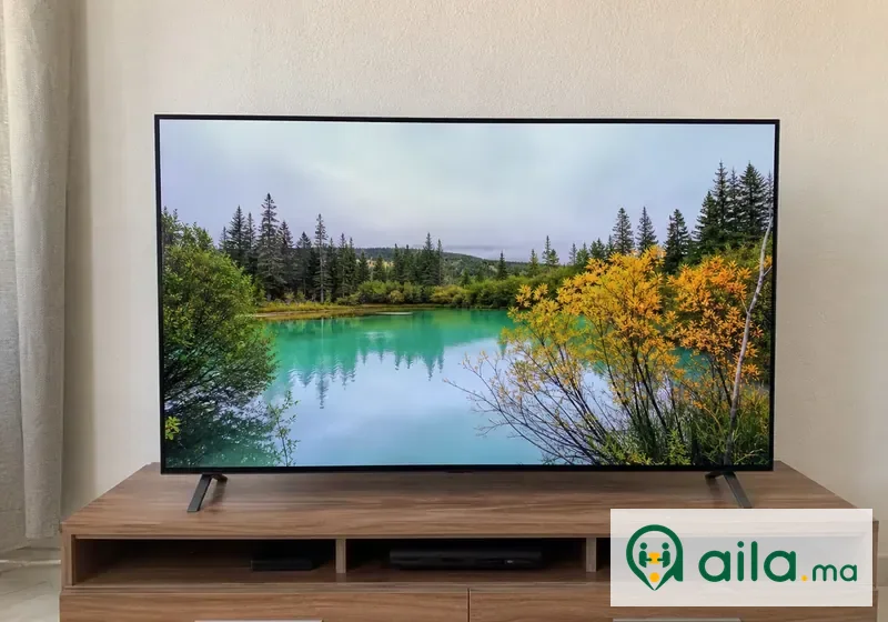 Téléviseur LG OLED 55 pouces