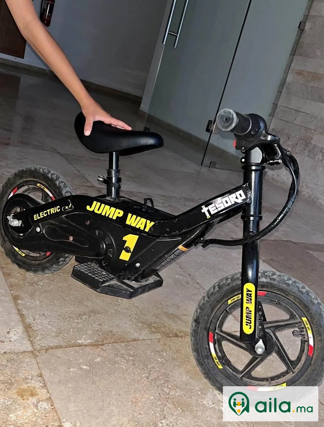 MOTOR ILECTRICE 